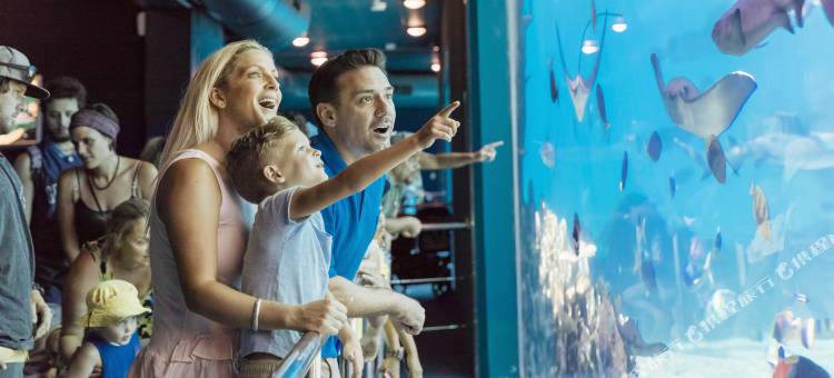 海洋世界度假村(Sea World Resort)图片