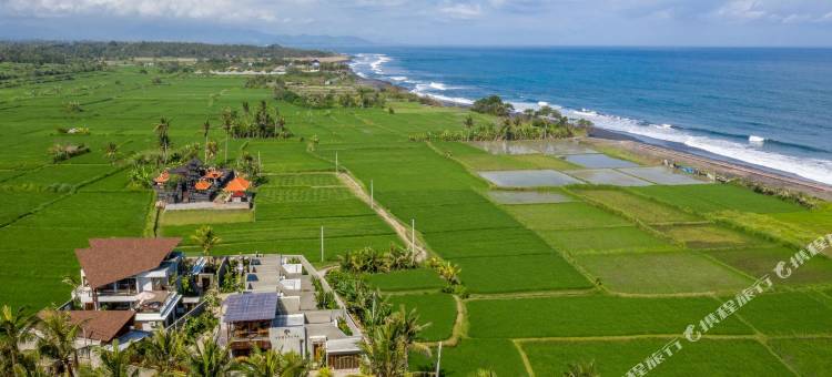 阿格拉帕纳海滩别墅(Agrapana Beach Villa)图片