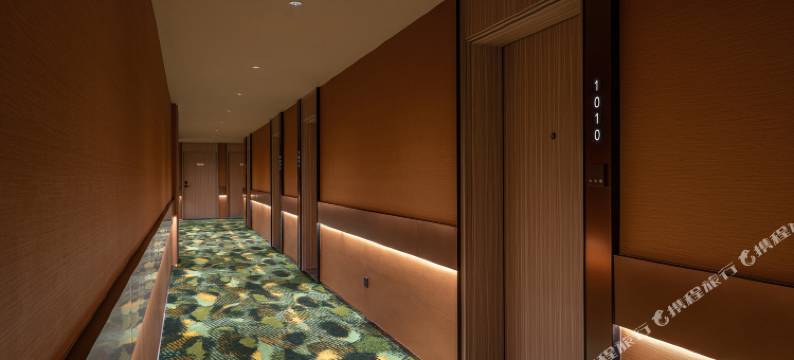 桔子酒店(成都双流国际机场店)图片