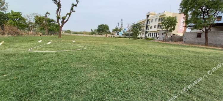 皇宫酒店(Hotel the Royal Palace)图片