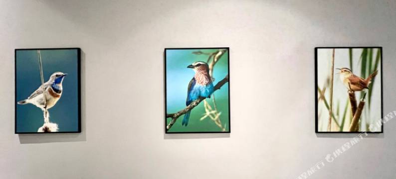 乐维特精品酒店(Le Vert Boutique Hotel)图片