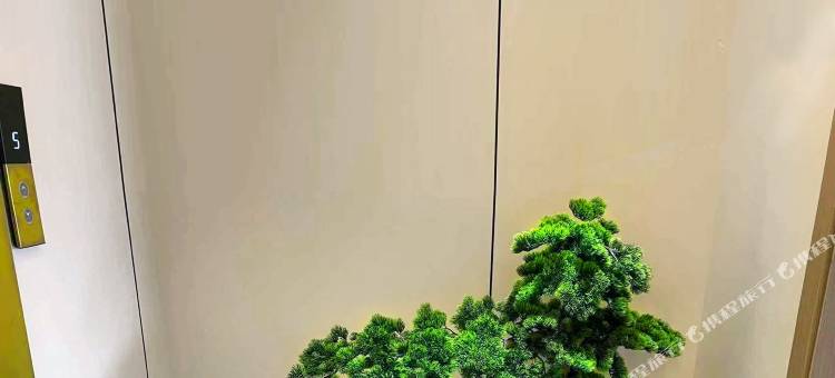 类乌齐睿轩智慧酒店图片