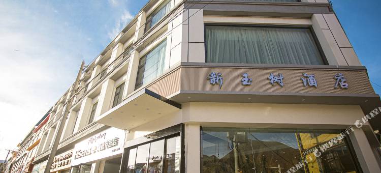 新玉树酒店(玉树州博物馆店)图片