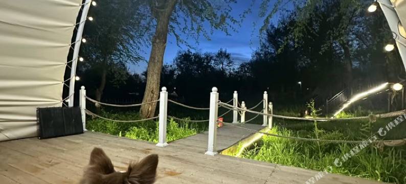 榆风野奢营地民宿(芦草沟店)图片