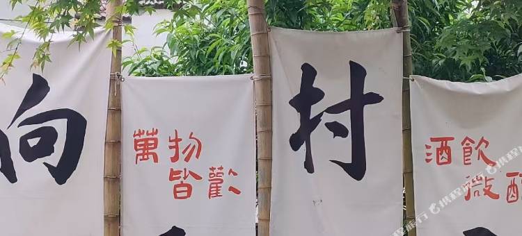 安吉向阳村房民宿图片