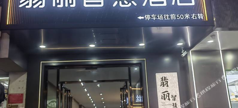 翡丽智慧酒店(保亭店)图片