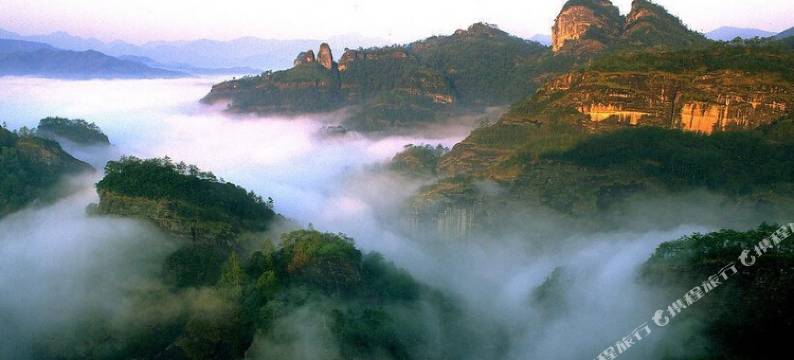 武夷山天心明月茶山房       ·Zne Tea Retreat(三姑度假区店)图片