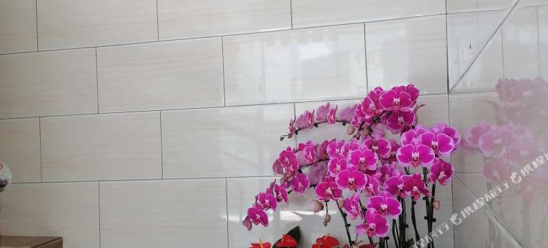 广州从化吕田发记旅馆图片