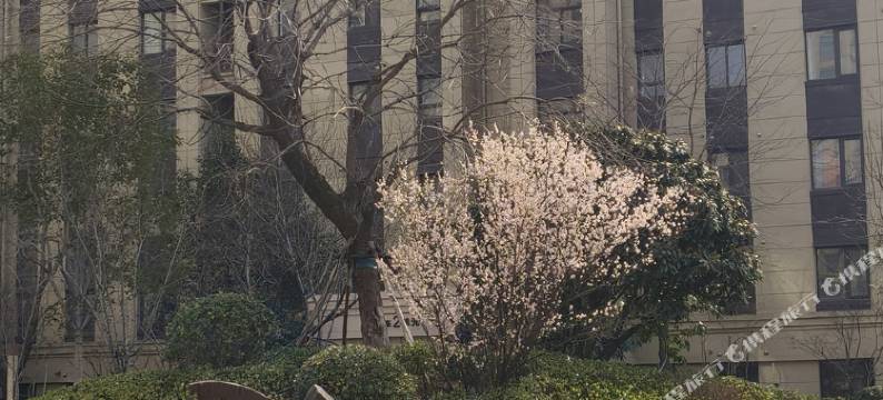 鹿鸣舍亲子度假民宿(银基动物王国店)图片