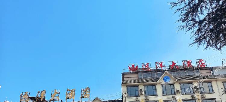 龙陵远洋主题大酒店图片