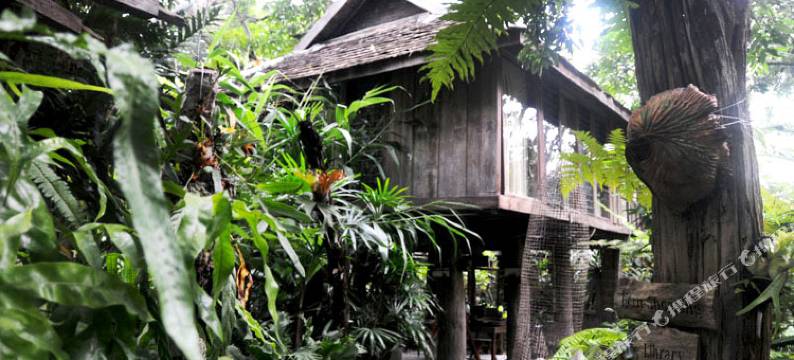 菲姆天堂酒店(Fern Paradise)图片