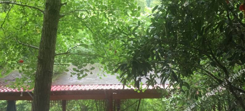 都江堰怡馨园农家乐图片