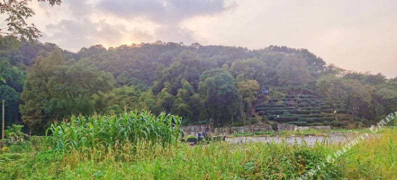 杭州翔凤宾馆(云栖小镇会展中心店)图片