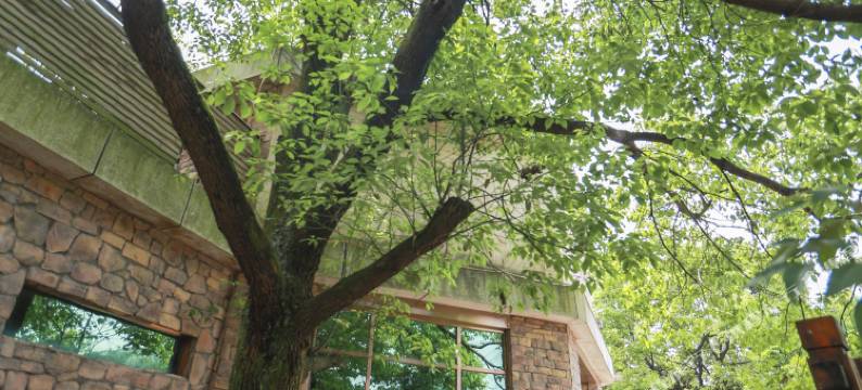 贵阳贵御温泉民宿图片