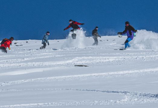 Shenshanli Yichuan VILLA Holiday Homestay (Kanas Old Village) Hotel Overview