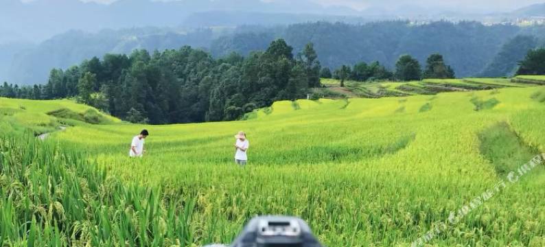 群山之心·甲乙民宿图片