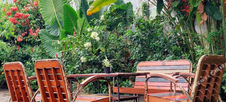 伊真火山小睡旅馆(Snooze Hostel Ijen)图片