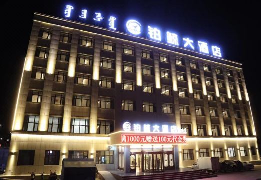 铂鲸大酒店（阿拉善高新区店）外景图