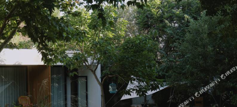 霍城叶之若庭民宿图片