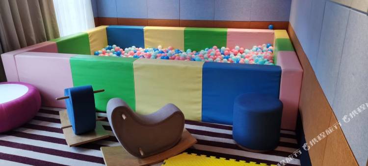 雅安西网国际酒店图片