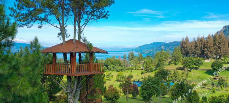 巴拉巴特尼亚加拉酒店(Niagara Hotel Lake Toba & Resorts)图片