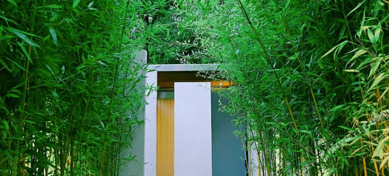 浅云半岛·森林私汤度假小院图片