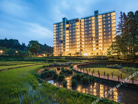 元阳云之梦酒店