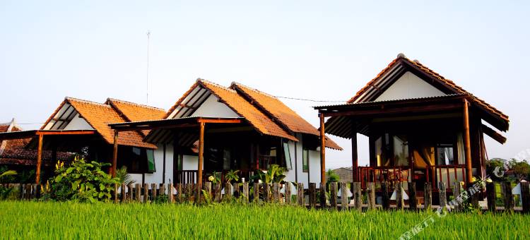 Arys Residence by Cocotel阿里斯住宅Cocotel(Ary's Residence Powered by Cocotel)图片