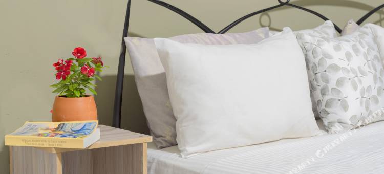 尼甘布Bliss Loft公寓(Bliss Loft Negombo)图片