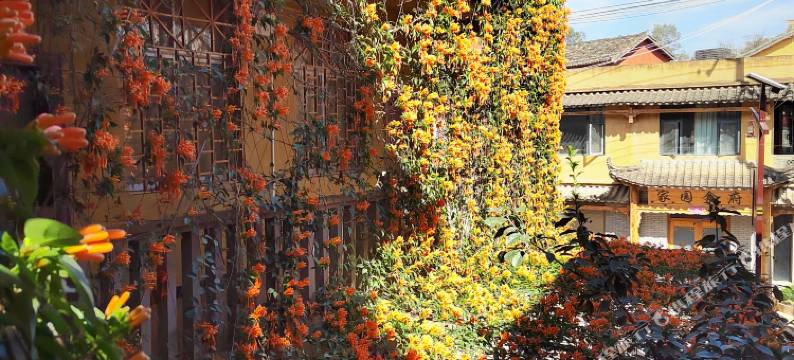 普者黑窝子田客栈图片