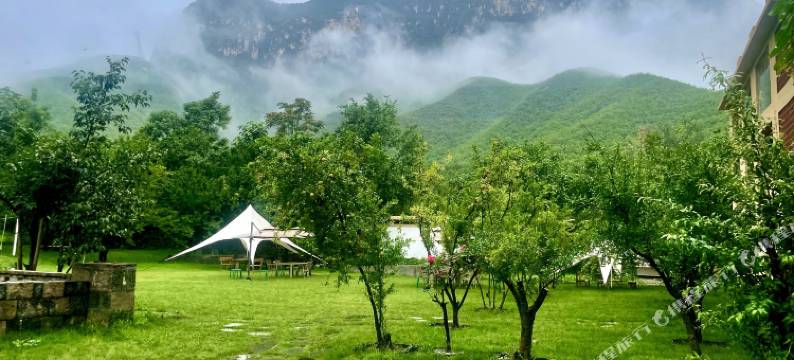 映山红·绿草地度假民宿酒店(云台山岸上服务区店)图片