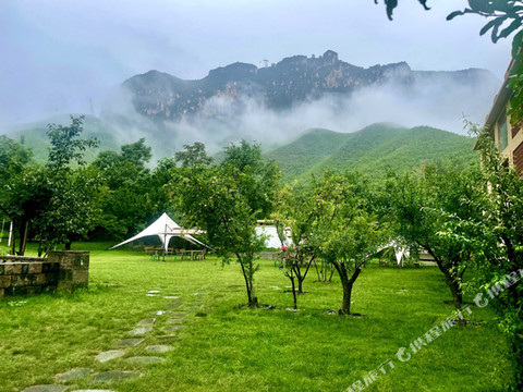映山红·绿草地度假民宿酒店(云台山岸上服务区店)