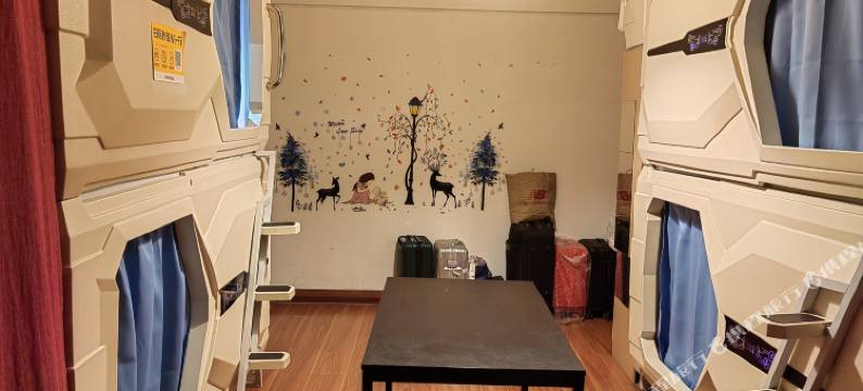 成都怡然太空舱青年旅舍(春熙路太古里店)图片