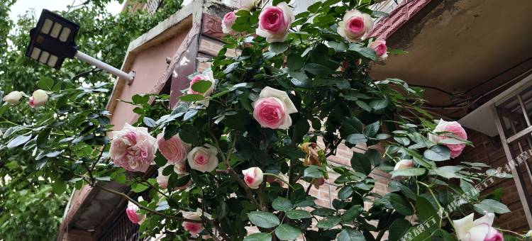 登封书源宾馆(嵩山风景区店)图片