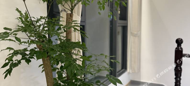 奉节伴山橙民宿图片