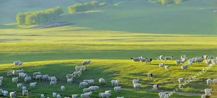 如家华驿酒店(乌兰布统草原店)图片