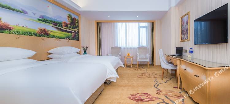 维也纳国际酒店(黄冈东门路店)图片