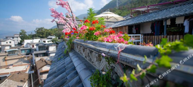 大理雨林时光民宿(洱海挖色小普陀店)图片