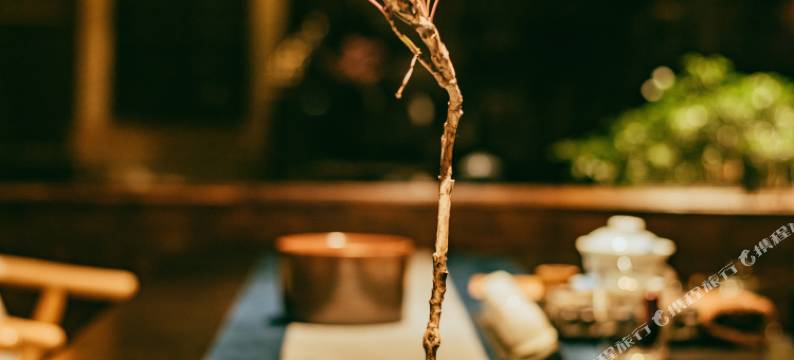 何家染坊客栈( 阆中古城店)图片