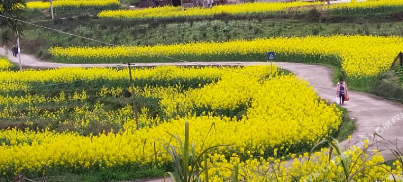 犍为百信旅店图片