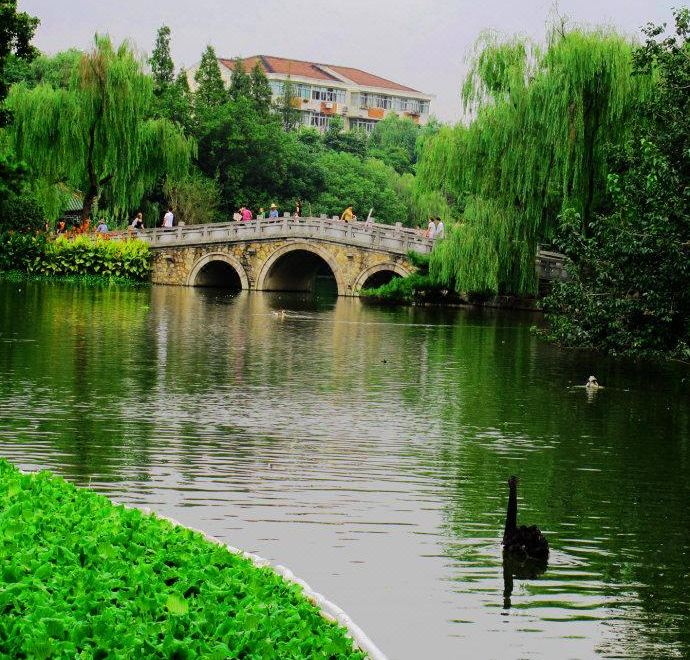 GreenTree Easten Hotel (Shanghai Hongqiao Airport zoo subway station store) Hotel Overview
