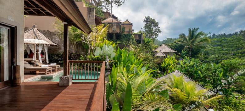 The Kayon Jungle Resort  (Adult Only)图片