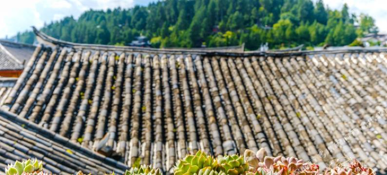 九号观景客栈(丽江古城忠义市场店)图片