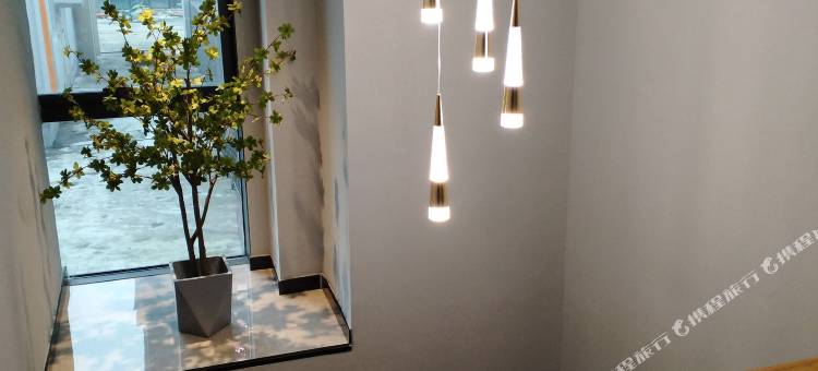 自贡芳邻雅致酒店(方特恐龙王国店)图片