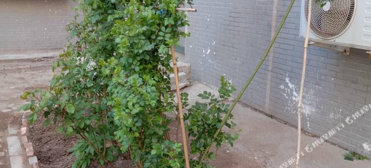 沈阳梦佳旅馆图片