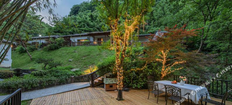 安吉无尘茗宿图片