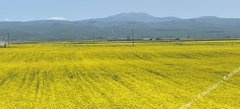 青海湖湖畔牧家宾馆图片