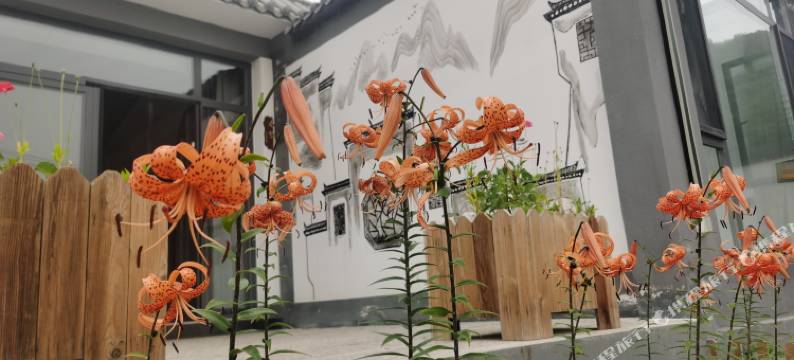 追梦人家民宿图片