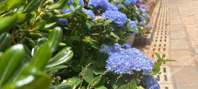 丽江隐石居雪山观景客栈图片