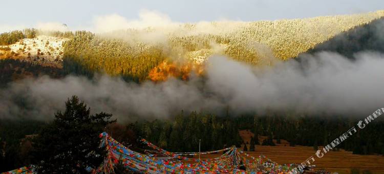 林芝擦贡康桑民宿(鲁朗高山牧场景区店)图片